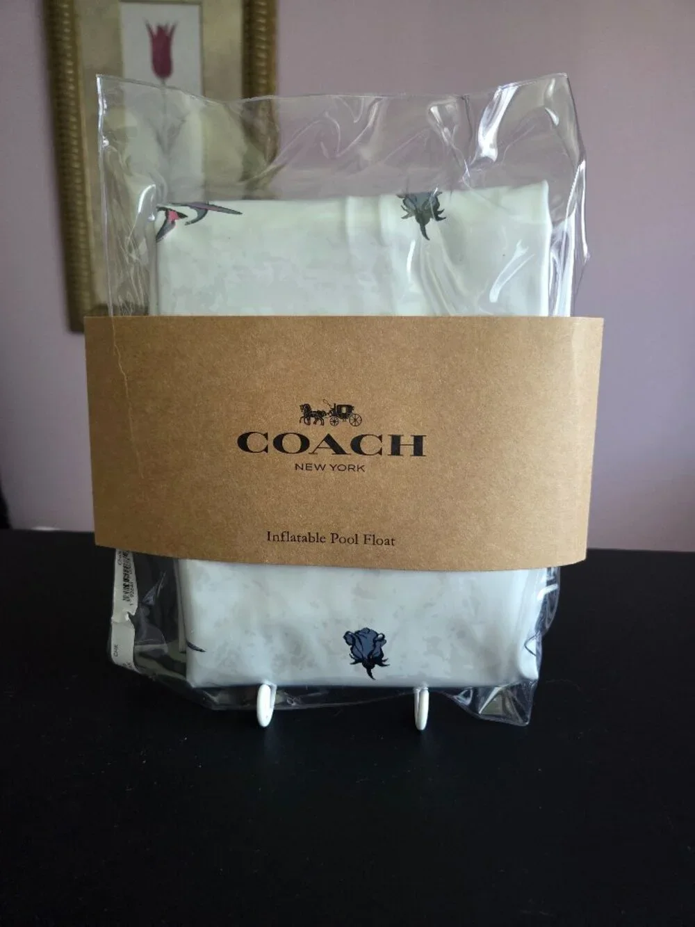 Coach Inflatable Pool Float - Picture 1 of 4